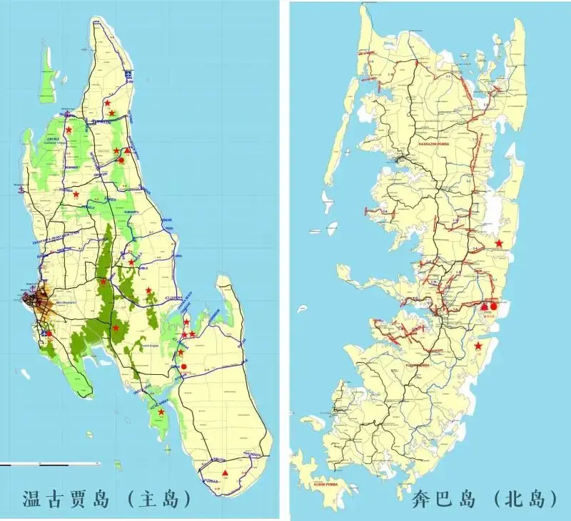 温古贾岛与奔巴岛项目