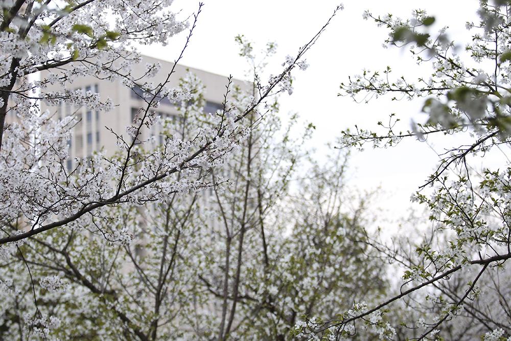 武汉理工大学分数线_武汉的大学理科所有录取线_武汉理工大学是分数线