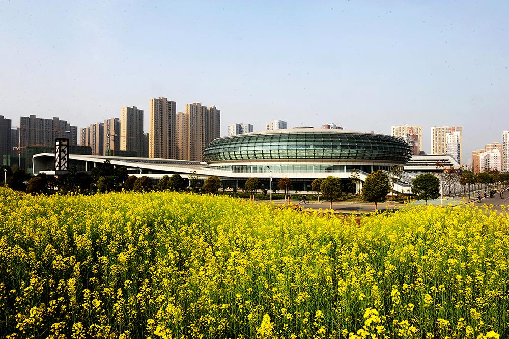 武汉理工大学分数线_武汉理工大学是分数线_武汉的大学理科所有录取线