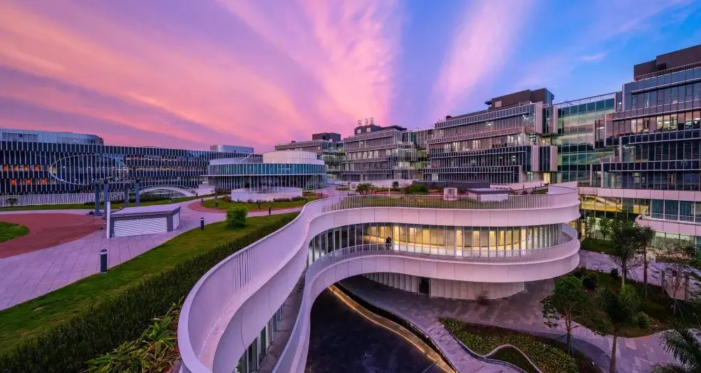 上海纽约大学招生_2022上海纽约大学招生简章_上海纽约大学招生计划