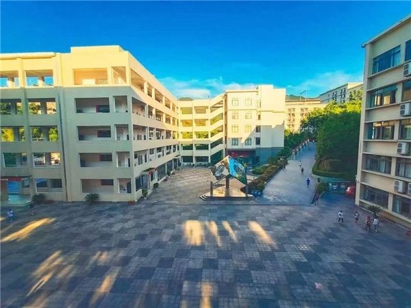 专业学校怎么选_专业与学校选择_专业学校选择怎么选