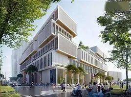 上海纽约大学招生_上海纽约大学招生计划_招生上海纽约大学的条件