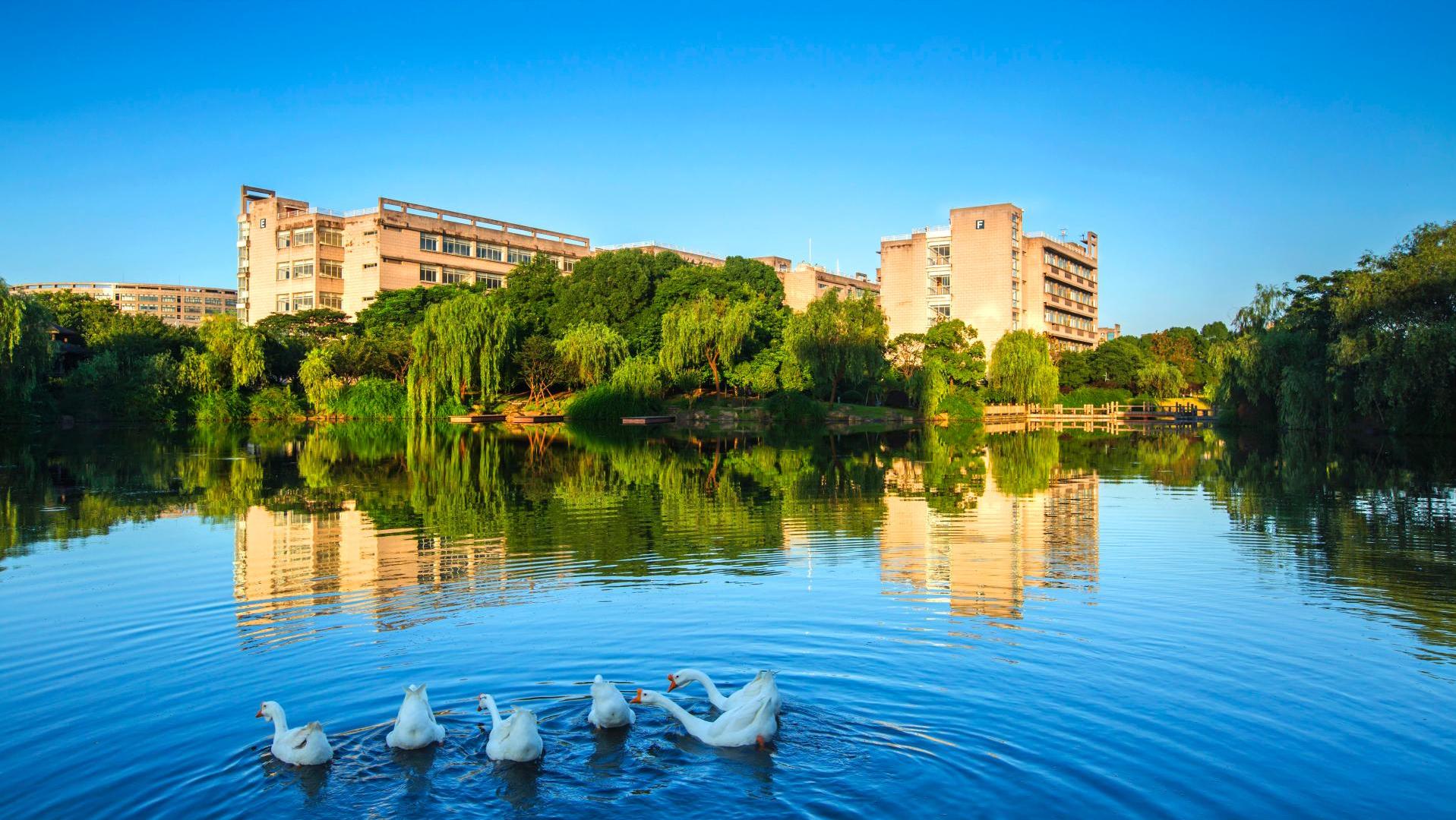 浙江财经专业分数线_浙江财经学院录取分数线_财经大学浙江学院分数线