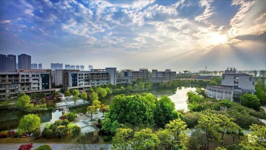 浙江财经专业分数线_浙江财经学院录取分数线_财经大学浙江学院分数线