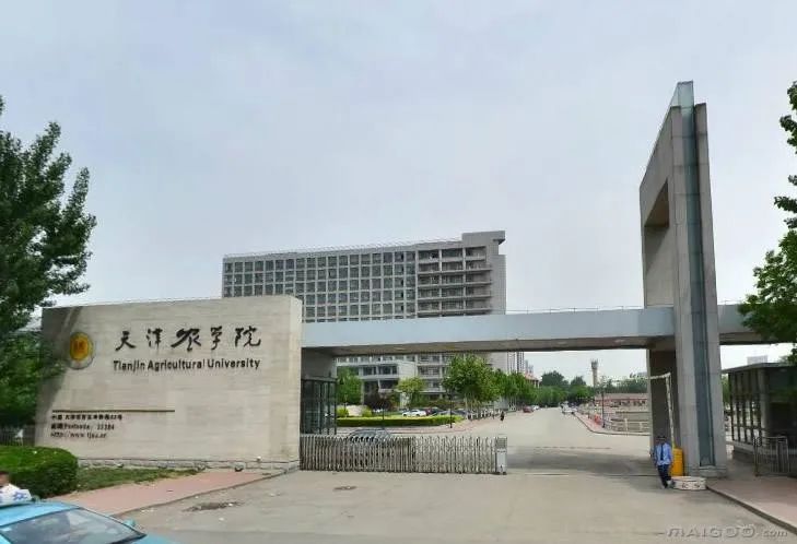 新乡学院工程学院附属学校_新乡学院工程招标_新乡工程学院