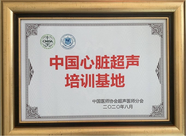医学网络考试医学辩证法_哈医学_医学教育网