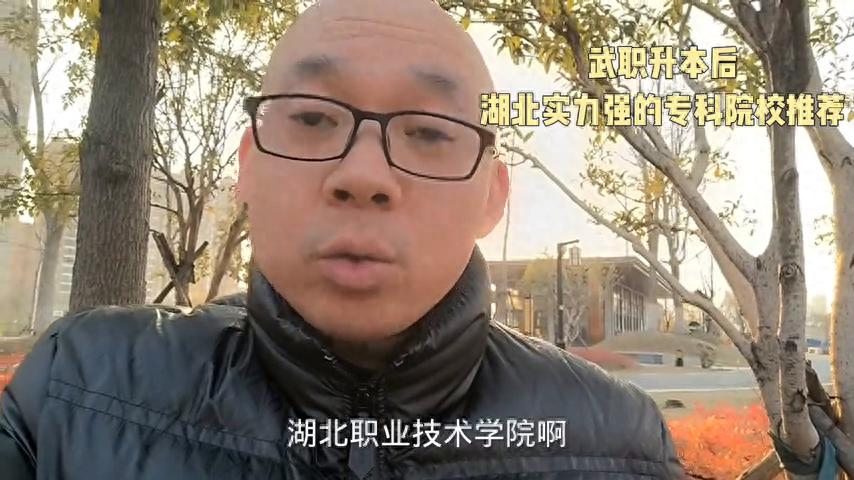 湖北省专科排名前十_湖北省专科学校排名_湖北专科排名名单