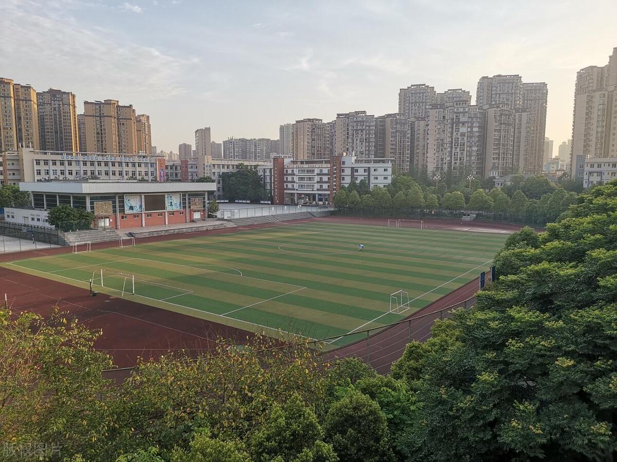 成都一初三学生被北大录取_成都七中211大学录取人数_成都七中2024年985录取率