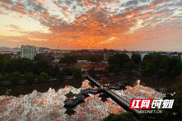 清华教研大学系列专业_清华大学 教研系列_清华大学教研院