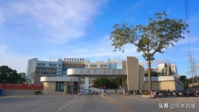 2013广东省理科状元_广东状元2020_2013广东省高考状元