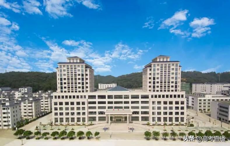 2013广东省理科状元_广东状元2020_2013广东省高考状元