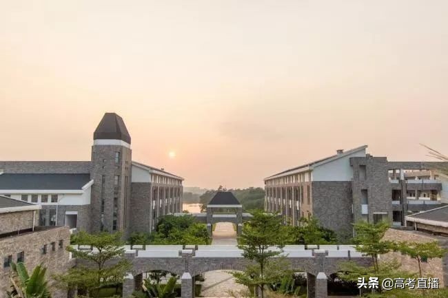 2013广东省高考状元_广东状元2020_2013广东省理科状元