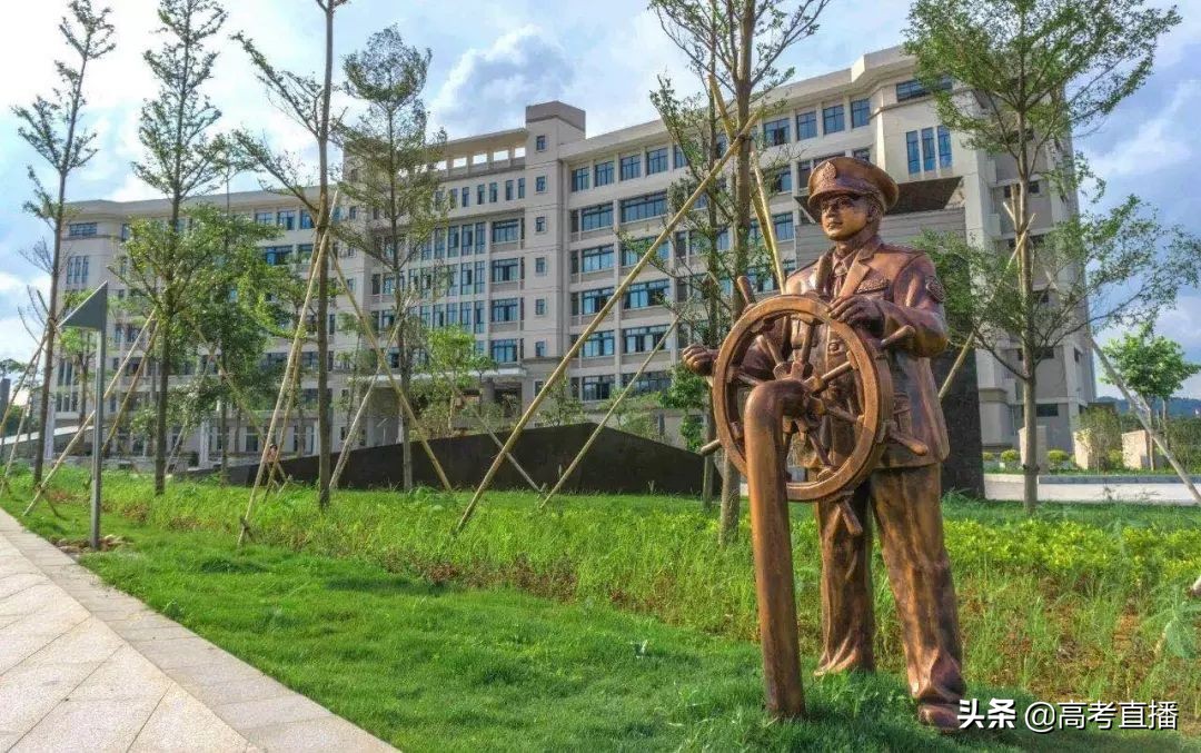 2013广东省高考状元_广东状元2020_2013广东省理科状元