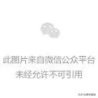 2013广东省理科状元_广东状元2020_2013广东省高考状元