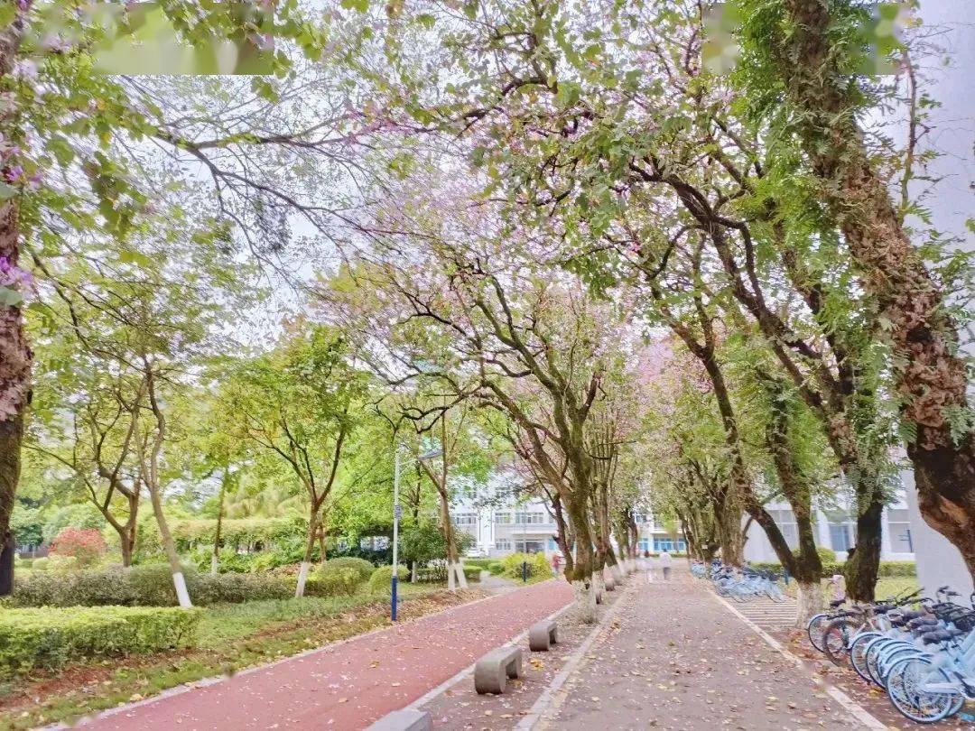桂林航空航天工业学院_桂林航天航空工业学院分数线_桂林航天航空工业学院专业