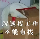 广州理工大学 招聘_广州大学理学院_广州大学招聘