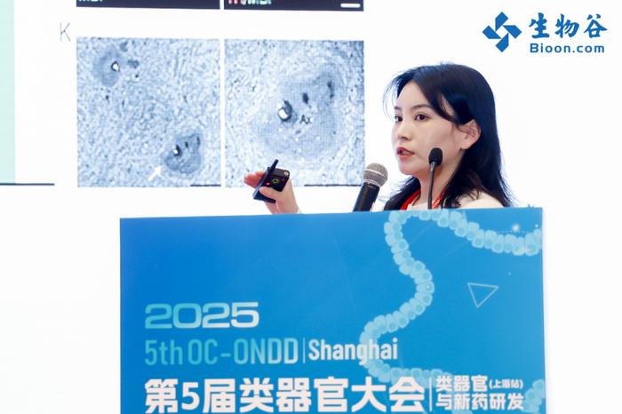 希西南交通大学希望学院_西南交通大学希_西南交通大学西希学院简介