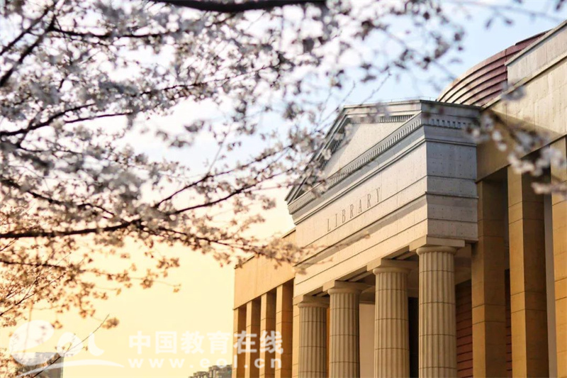 浙江树人学院最低分数线_浙江树人学院各专业录取分数线_浙江树人学院分数线