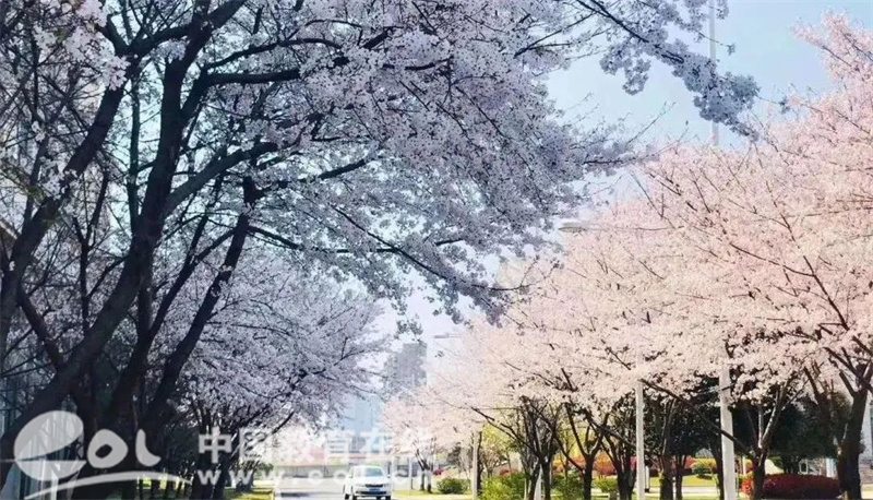 浙江树人学院各专业录取分数线_浙江树人学院分数线_浙江树人学院最低分数线