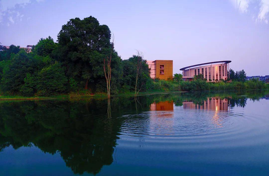 对外经贸大学入学_重庆对外经贸学院招生计划_重庆对外经贸学院录取规则