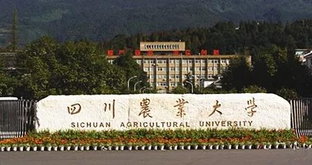 四川省农业大学代码_农业大学在川代码_四川农业大学代码查询