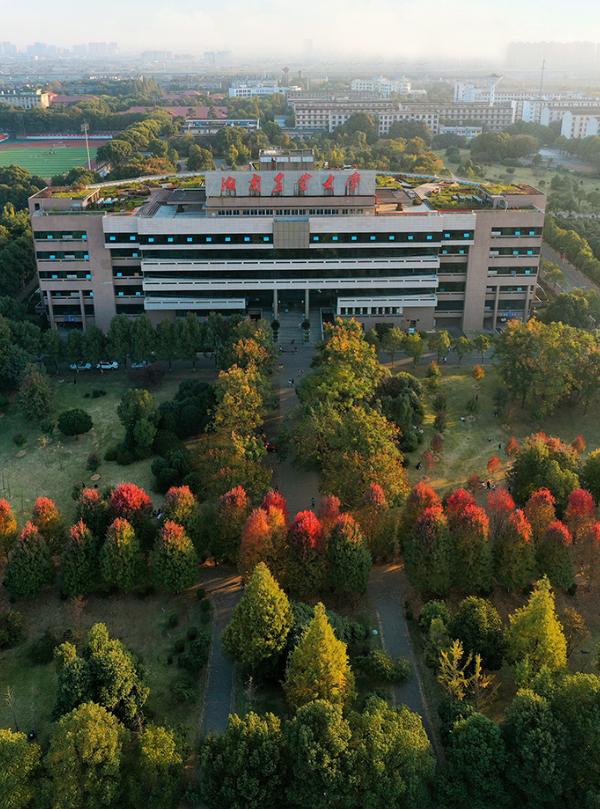 川农代码和专业代码_农业大学在川代码_四川省农业大学代码