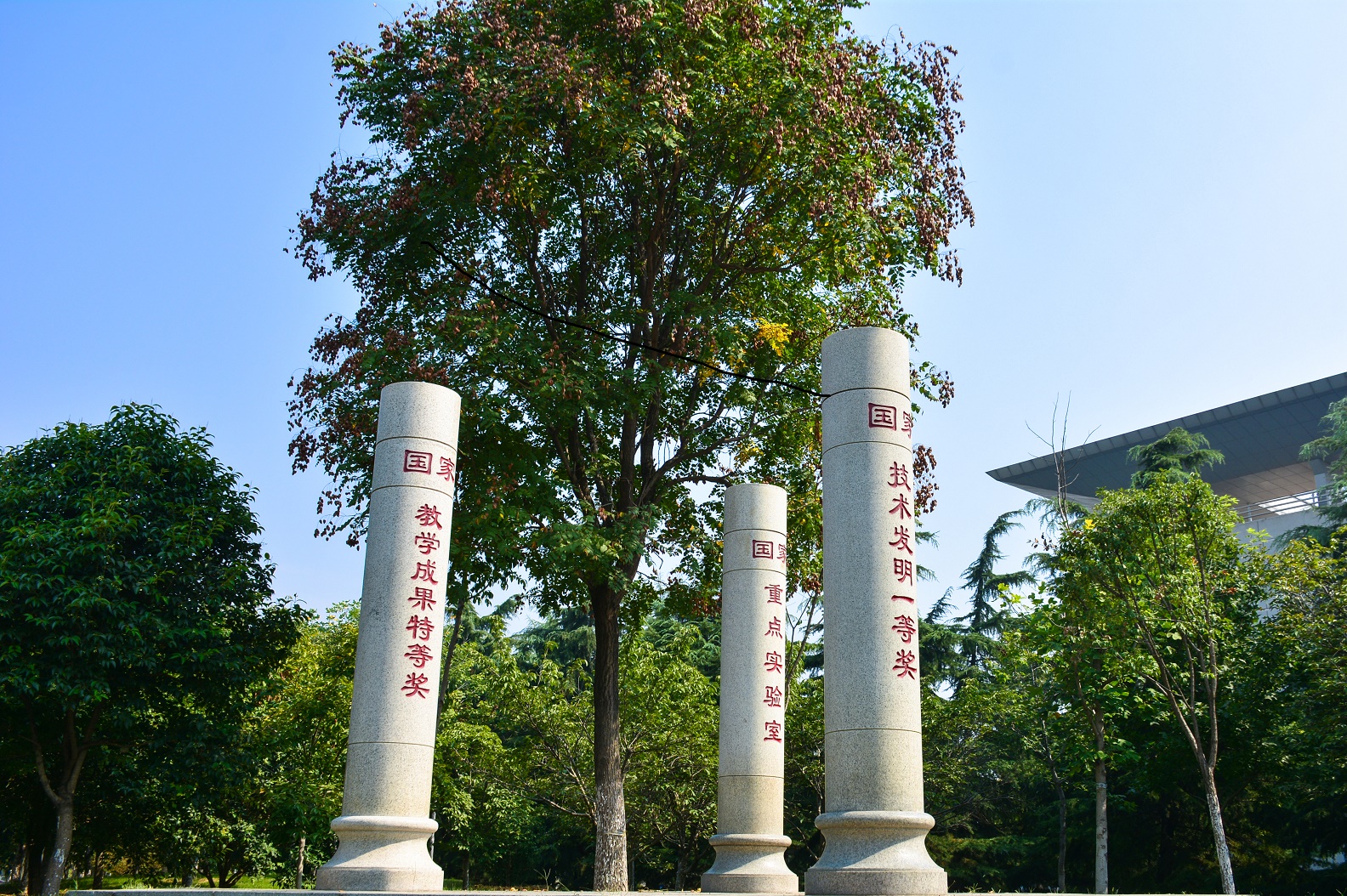青岛农业大学综合排名_农业大学就业方向_山东农业大学与青岛农业大学录取数据对比