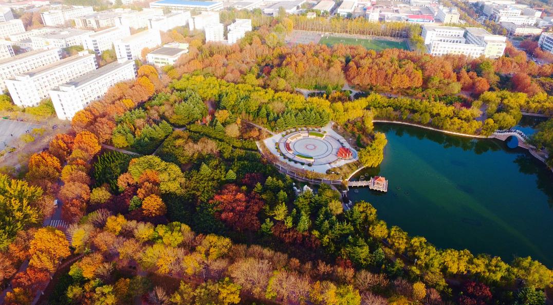 山东农业大学与青岛农业大学录取数据对比_青岛农业大学综合排名_农业大学就业方向