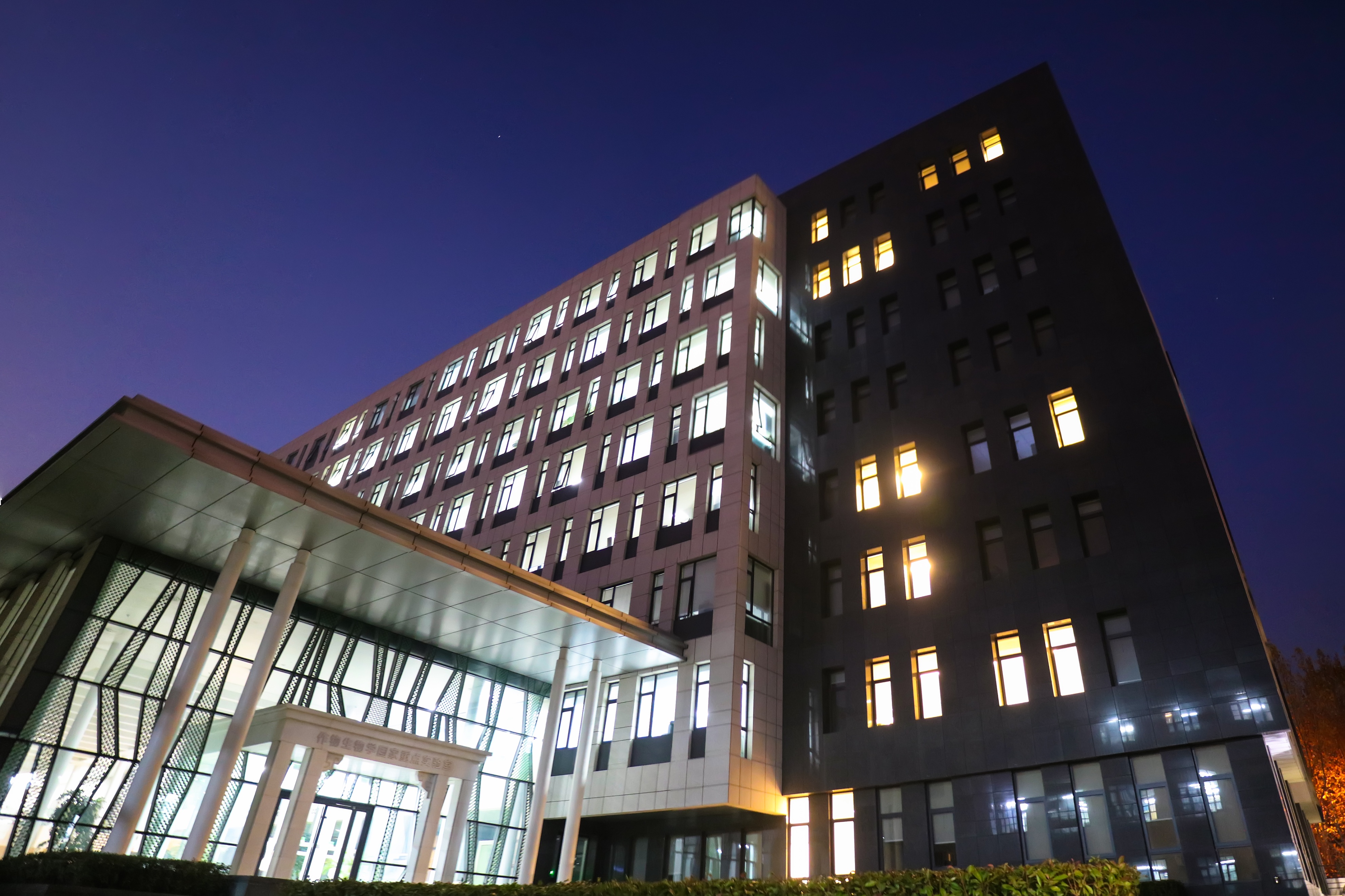 山东农业大学与青岛农业大学录取数据对比_青岛农业大学综合排名_农业大学就业方向