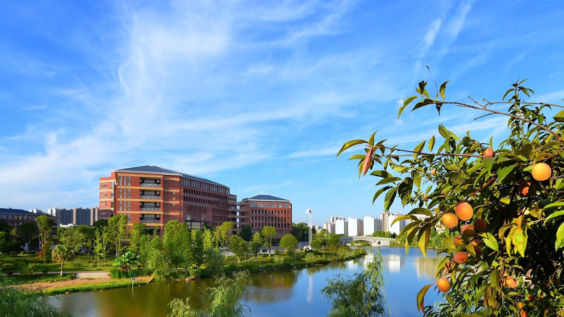 湖南科技大学专业设置_湖南大学专业_湖南科技大学专业