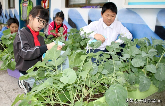 新疆双一流大学录取分数线_2024新疆双一流大学排名_石河子大学2021年录取分数线