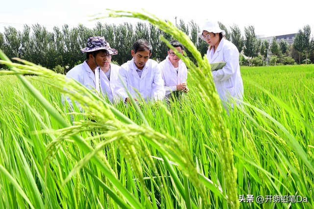 石河子大学2021年录取分数线_2024新疆双一流大学排名_新疆双一流大学录取分数线