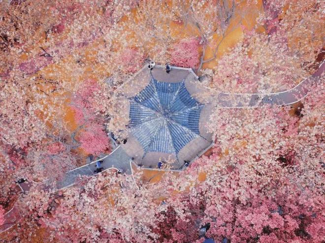 湖南大学专业_湖南科技大学专业_湖南科技大学专业
