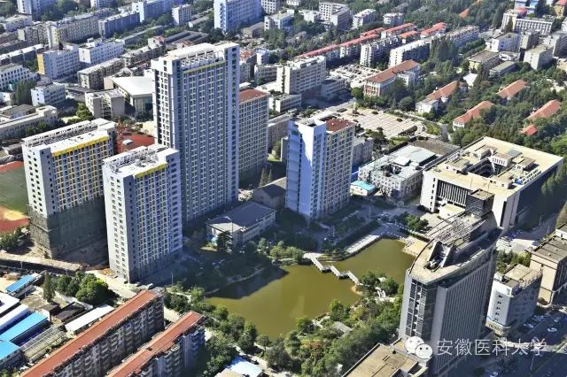 安徽高考录取分数线_合肥工业大学招生计划_安徽2021年高考分数线