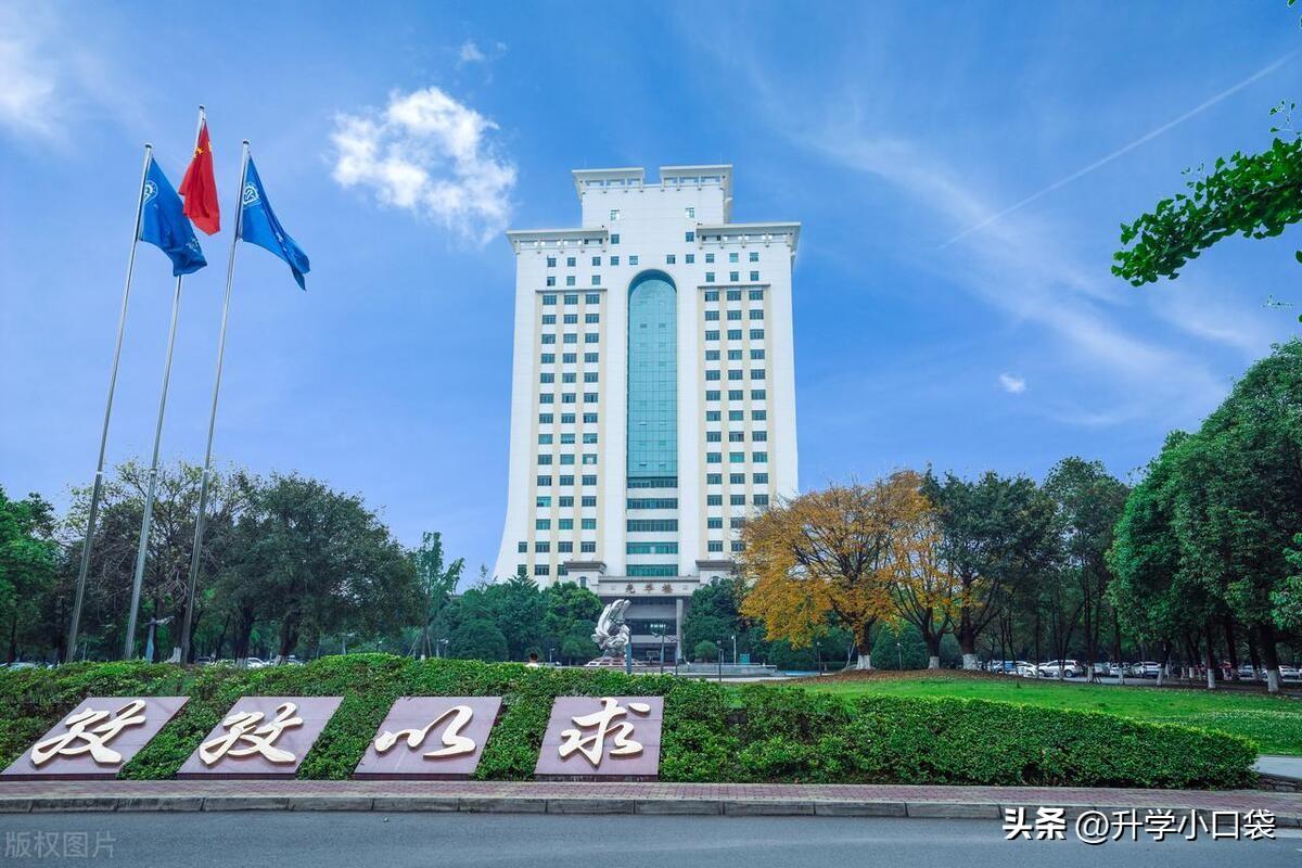 湖北各市大学生数量_湖北大学生人数统计_湖北大学学生人数