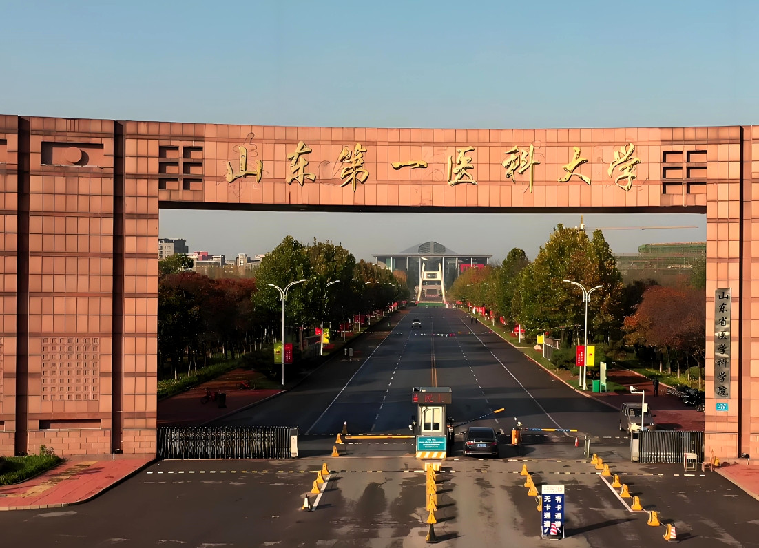 山东高校排名2025_青岛农业大学综合排名_山东大学排名